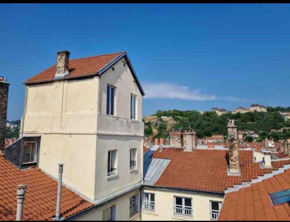 Unique! Maison Sur 1 Toit Avec Vue Extraordinaire! Apartment Lyon Exterior photo